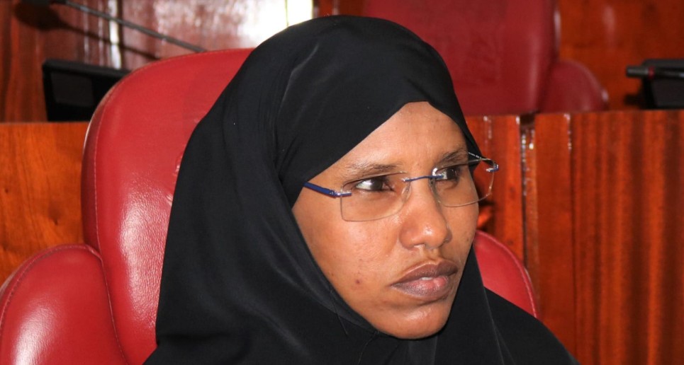 Mariam Sheikh Omar